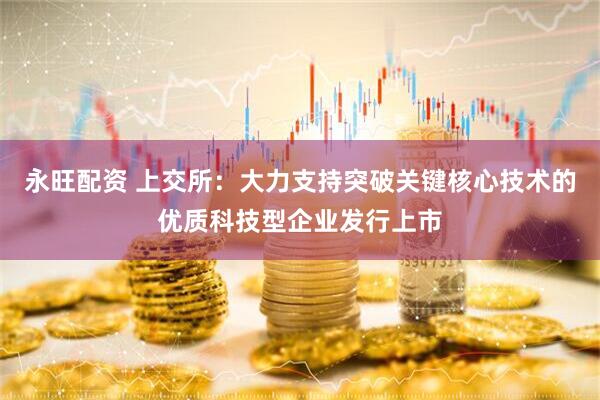 永旺配资 上交所：大力支持突破关键核心技术的优质科技型企业发行上市