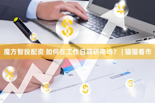 魔方智投配资 如何在工作日调研商场？ | 猫猫看市