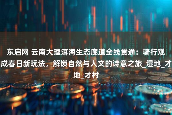 东启网 云南大理洱海生态廊道全线贯通：骑行观鸟成春日新玩法，解锁自然与人文的诗意之旅_湿地_才村