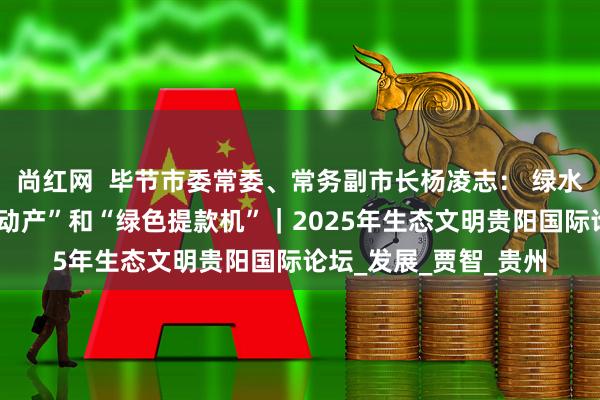 尚红网  毕节市委常委、常务副市长杨凌志： 绿水青山成为了“幸福不动产”和“绿色提款机”｜2025年生态文明贵阳国际论坛_发展_贾智_贵州