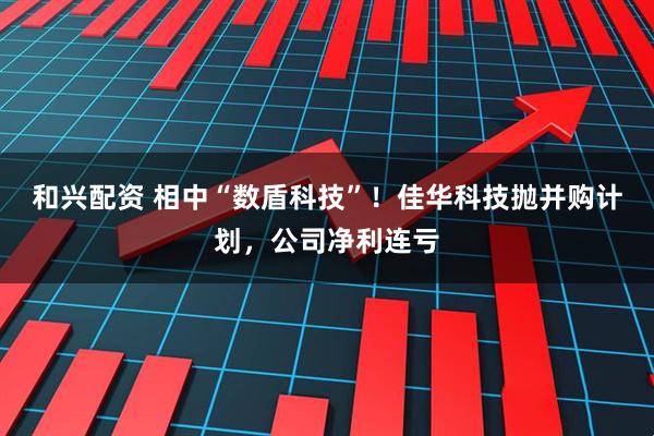 和兴配资 相中“数盾科技”！佳华科技抛并购计划，公司净利连亏