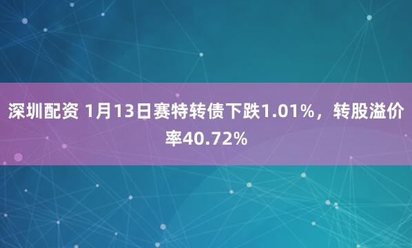 深圳配资 1月13日赛特转债下跌1.01%，转股溢价率40.72%