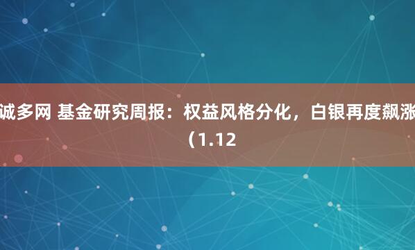诚多网 基金研究周报：权益风格分化，白银再度飙涨（1.12