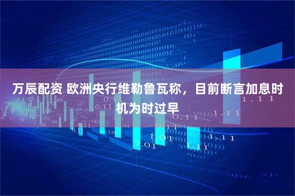 万辰配资 欧洲央行维勒鲁瓦称，目前断言加息时机为时过早